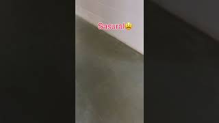 #office #saasbahu #employees #work #camera #officeworker #workholic #dailyvlog #housewife