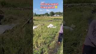 konten menarik menjadi konten kreator