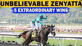 10 Facts About Zenyatta The Greatest Race Horse Of All Time