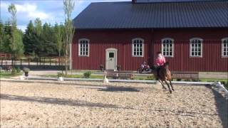 Chalkn Talk, Hoppträning Pether Markne 2012-07-04