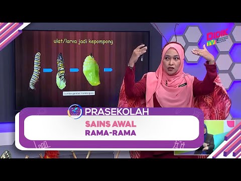 Video: Bulat ialah larva rama-rama: jenis, kitaran hidup, pemakanan