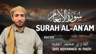 Surah Al An'am | Al-Anam | qari Mohammad Al Faqih | سورة الا نعام| قاري محمد الفقيه|dailyquran reels