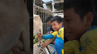 Outing Cl Murid Kelas 2 Sd It As Sholeh Cilacap Utara.