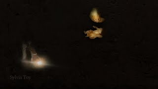 The Cave By Sylvia Toy Personal Space 3 2022