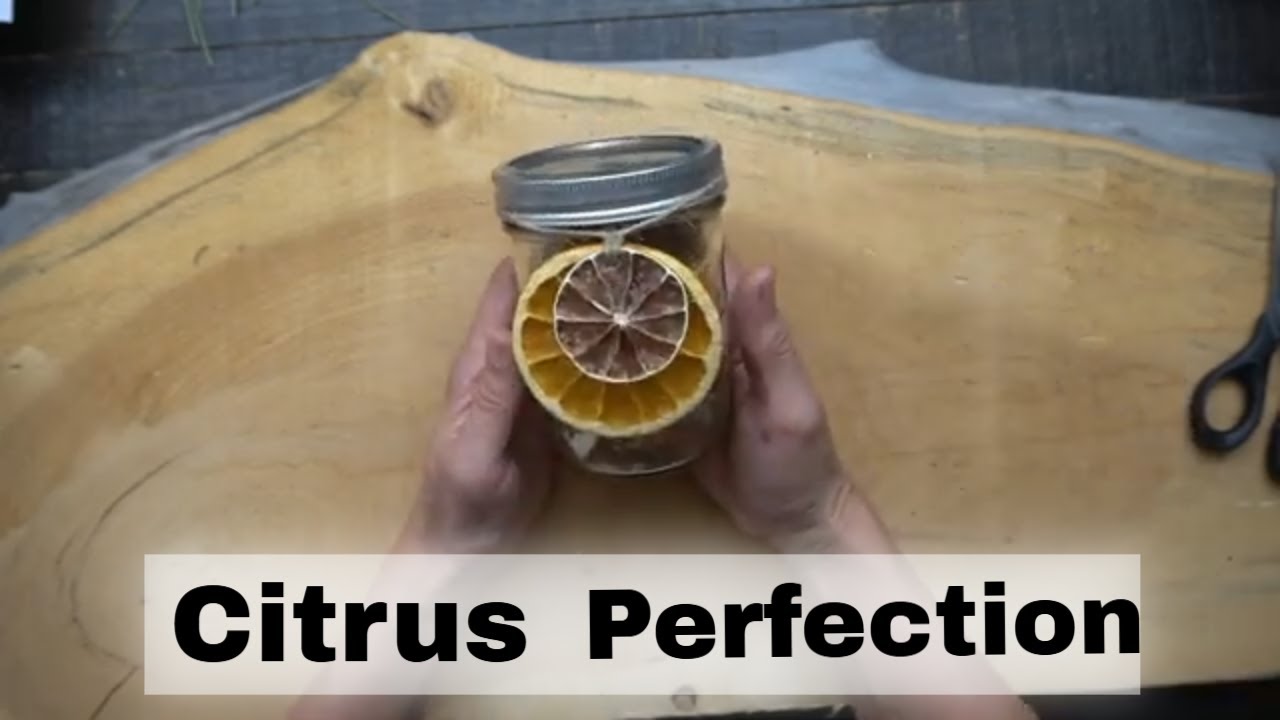 DIY Stovetop Potpourri: Citrus Perfection