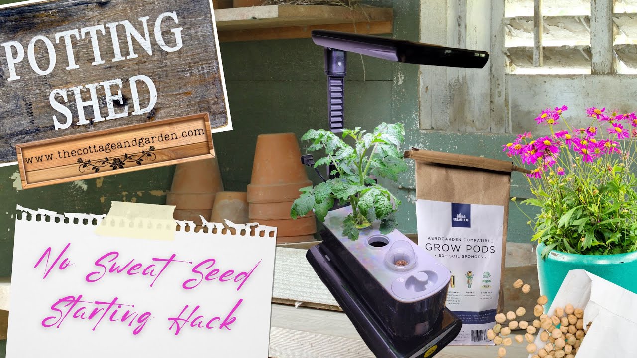 Seed Starting Hack for Tricky Seeds