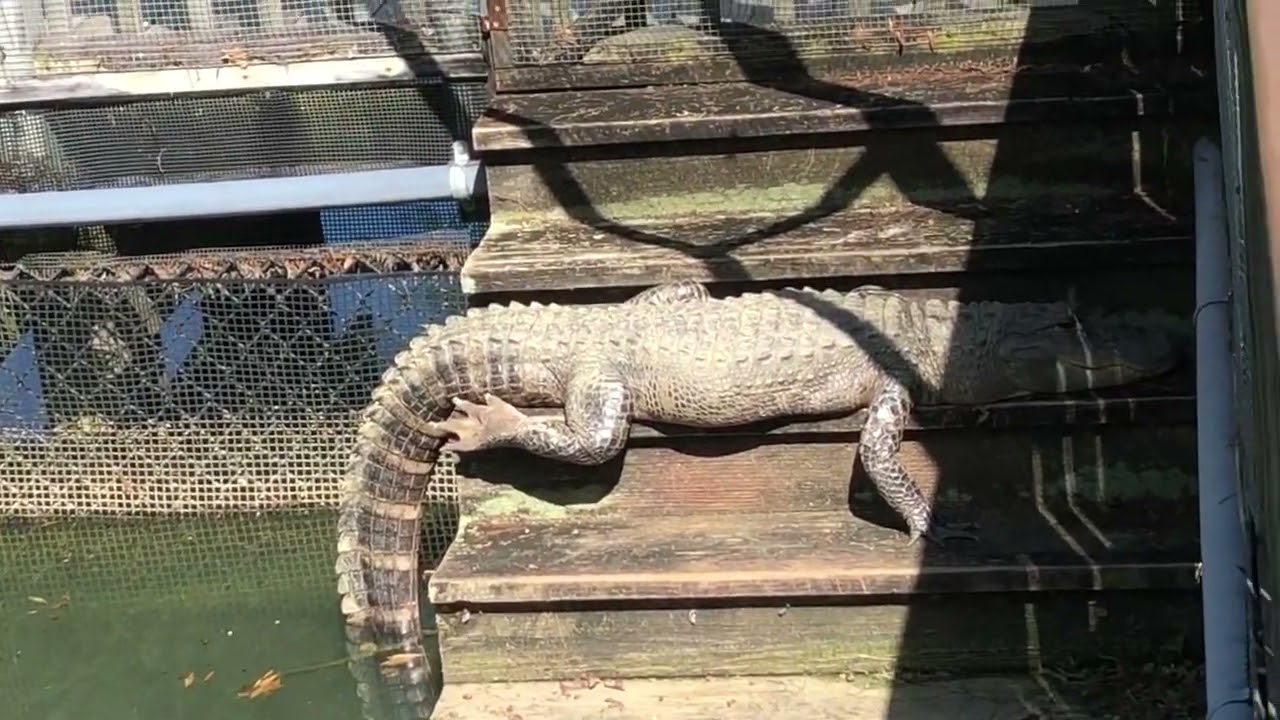 Warm Springs Fish Hatchery