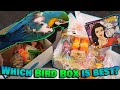 Reviewing Monthly Bird Toy Box Subscriptions!