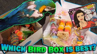 Reviewing Monthly Bird Toy Box Subscriptions!