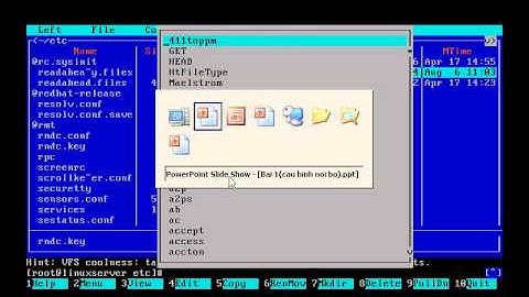 Cấu hình DNS, Web, Mail, trên Redhat Linux