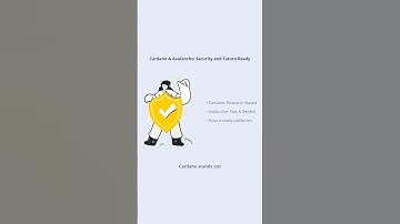 Top 5 Altcoins Beginners Should Know in 2025! #bitcoin #cryptocurrency #crypto