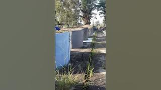 MENUJU MAKAM RICHIE RICARDO.