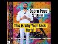 Cobra Pose is NOT About Height! 🐍 Fix Your Lower Back Pain the RIGHT Way #backproblem #backspasms