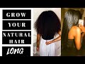 BEST TIPS to GROW LONG NATURAL HAIR  ⇒  Grow Your Type 4 Hair to Waist Length