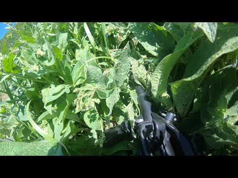 Airsoft_20200531_წოდორეთი_ჯიხურზე შეტევა