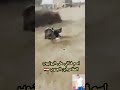 مو فسيفس طركاعا  mp3