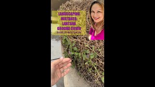 Landscaping Mistakes with Lantana (Ground Cover Plant) Shirley Bovshow (#Gardening Shorts)