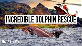 How to Save a Stranded Dolphin | Incredible Airlift