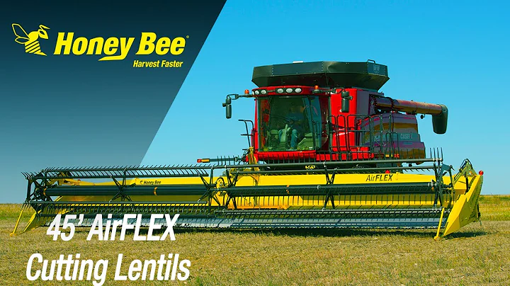 45' AirFLEX  Header Demo | Lentils | Saskatchewan | Side View