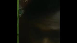 suci dalam debu santri bersmule