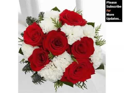 red and white carnation