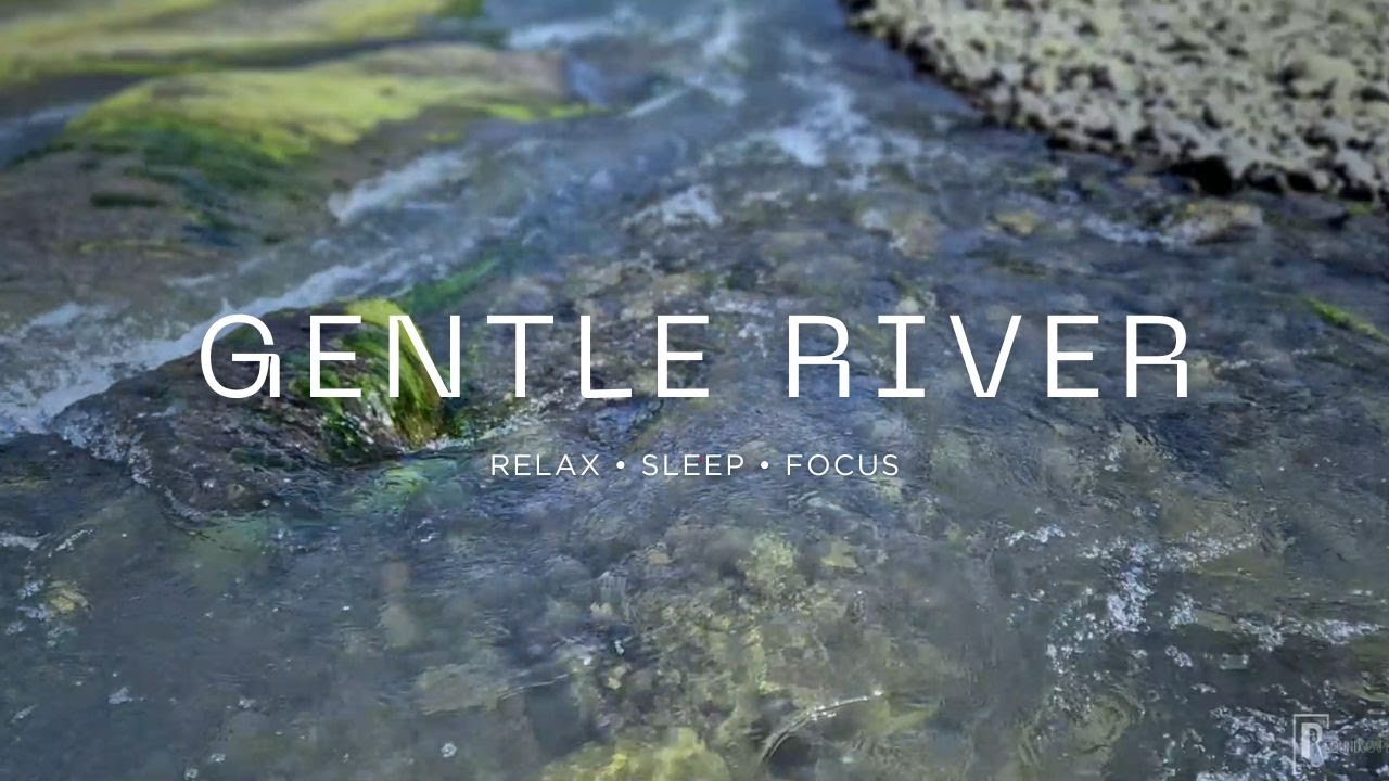 Calming Natural River Ambience | Gentle Water Flow for Deep Sleep & Relaxation