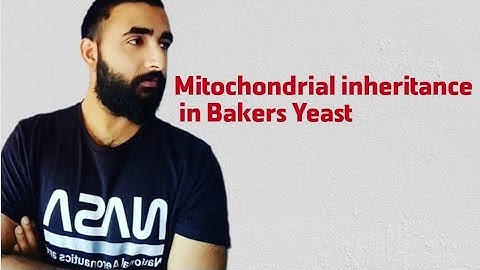 Mitochondrial inheritance in Baker