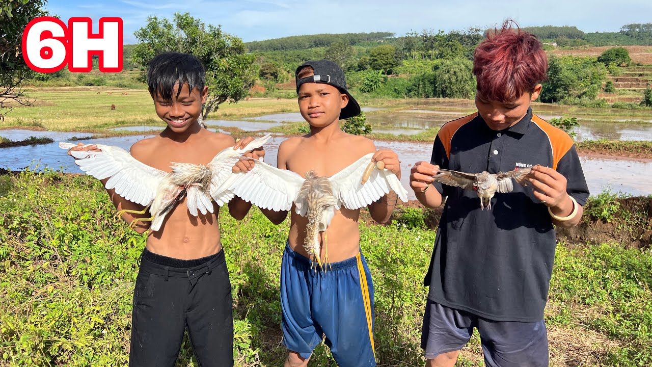 24-часовой поиск еды в лесу | Y DIEU |