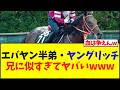 フォーエバーヤング半弟・ヤングリッチが兄に似すぎてヤバいwww【競馬】
