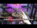 tres Indian ornamental tarantula rehousing