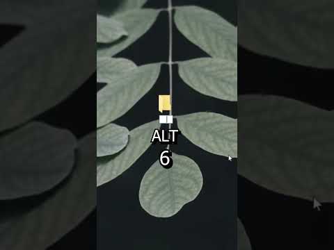 لو عندك كمبيوتر لازم تجرب الحاجات دي الجزء السادس