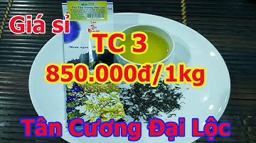 Trà Tân Cương Thái Nguyên | HTX Trà Xanh Thái Nguyên