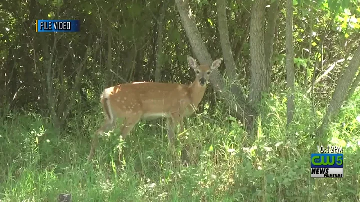 Top 10 hunting violations and how to avoid them