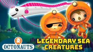 ​@Octonauts  ✨ Legendary Sea Creatures  | 90 Mins Compilation | Underwater Sea Education