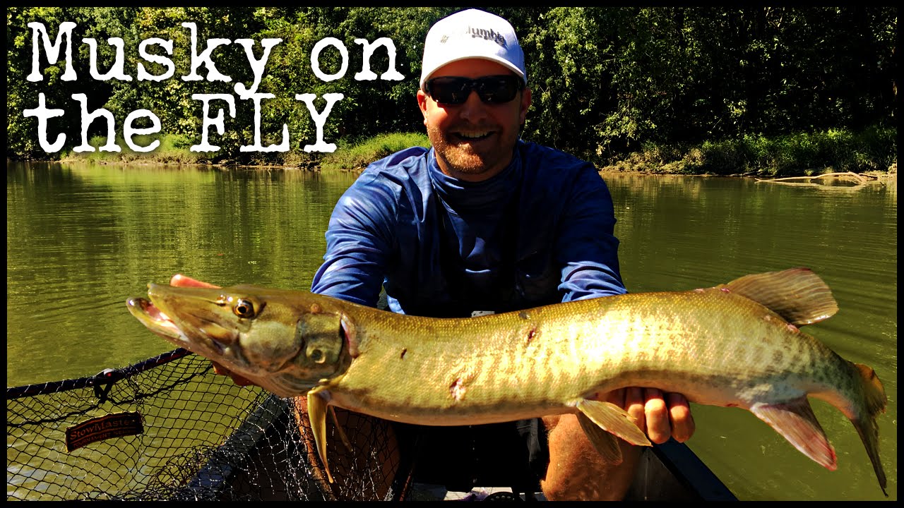 Fly Fishing for Musky isode 1 YouTube