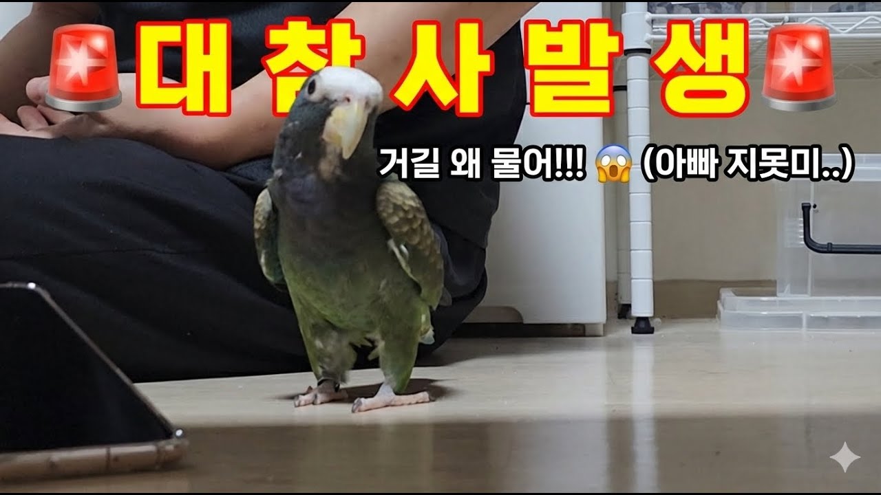 아빠의 '그곳'을 정확히 조준 사격한 헬라 