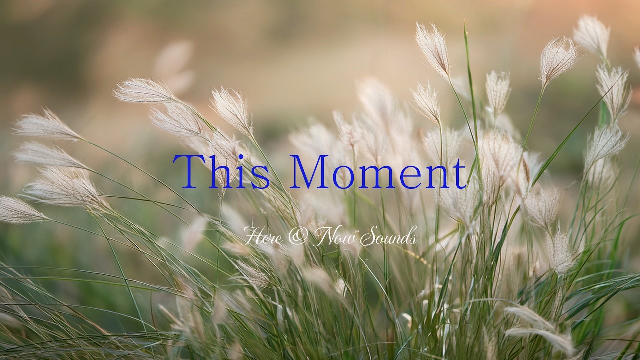 Calm Piano for Study, Relaxation & Sleep | This Moment