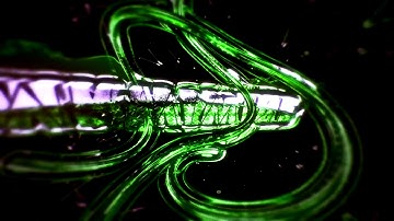 ✖MRWIWINE✖『BEST ?!』〘Intro #3〙