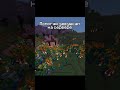 ⚠️FAKE GUN⚠️ Подарки девушкам на сервере #minecraft #shorts #майнкрафт #мем #сервер #девушка