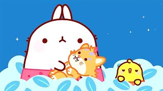 Molang - The Saber Tooth Kitten | Cartoons For Kids | Cartoon Crush by Cartoon Crush - Kids Cartoon 11,702 views 4 weeks ago 5 minutes, 20 seconds