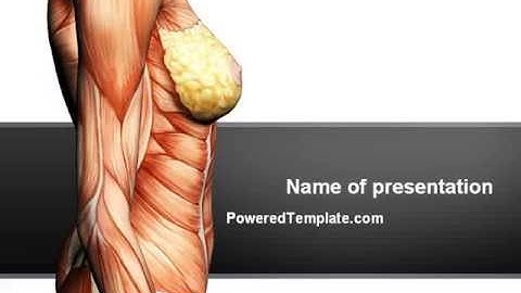 Female Anatomy Muscular Corset PowerPoint Template by PoweredTemplate.com