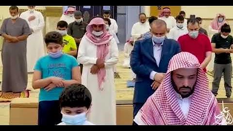وما كفر سليمان |- من أروع ما رتل القارئ علي عبدالسلام اليوسف / قرأ تريح القلب و النفس ❤️🌿