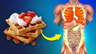 This Is What Happens To Your Body When You Eat Waffles Every Day