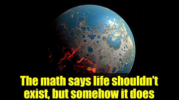 The math says life shouldn’t exist, but somehow it does