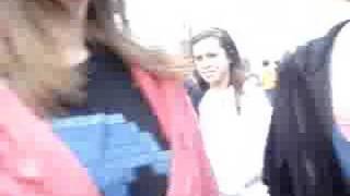 shake em dice em roll em