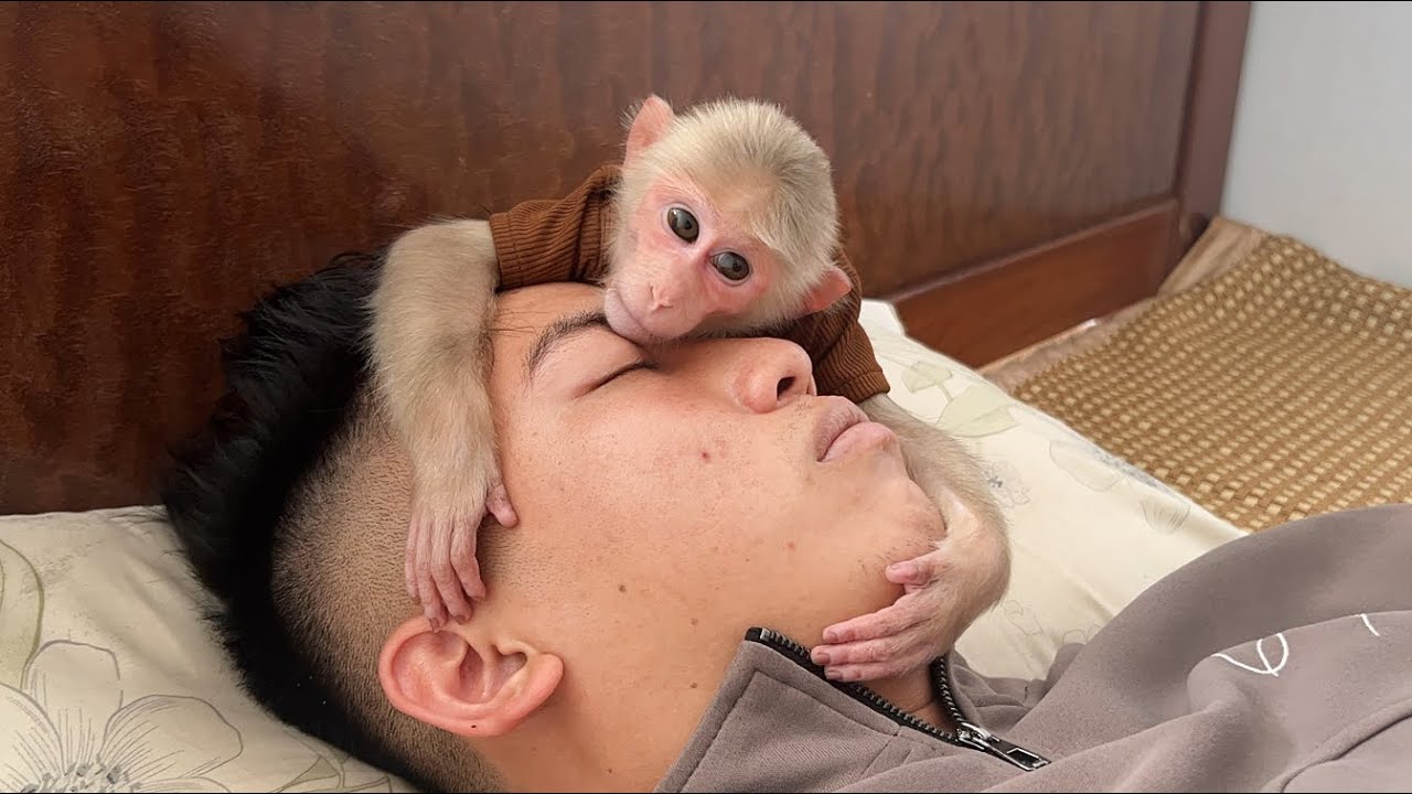 Luk worried when saw Thang sleeping too much but because…