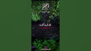 سورة ياسين _ عبد الباسط عبد الصمد  (وَإِذَا قِيلَ لَهُمْ أَنْفِقُوا مِمَّا رَزَقَكُمُ اللَّهُ قَالَ