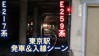 E217系東京駅発車シーン＆E259系東京駅入線シーン