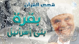 قصة بقرة بنى إسرائيل | #قصص_القرآن_الكريم# | الشيخ محمد متولي الشعراوي #رياض_الجنة