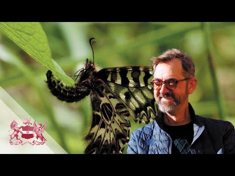 Corfu Butterfly Conservation | Dan Danahar